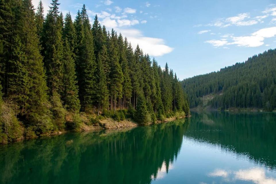 Camping Aviator, Numai Teren, Campare Pentru Rulote Autorulote Personale, Campingul Nu Are Rulote !!! Buşteni Eksteriør billede